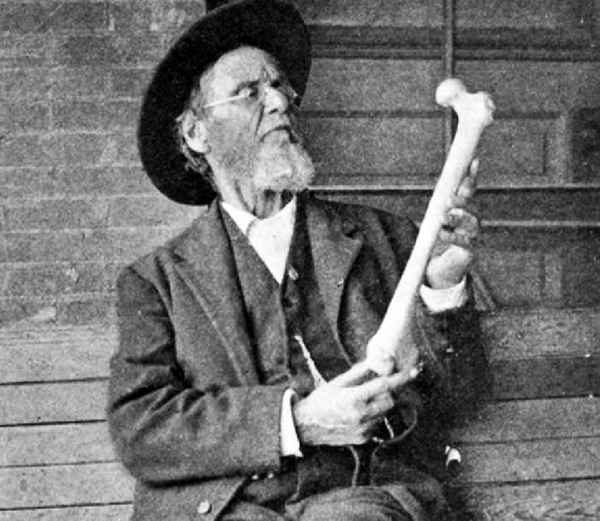 Osteopathie in Potsdam Babelsberg | Traditionelle Osteopathie =150 Jahre Erfahrung! Traditionelle Osteopathie in Babelsberg nach Andrew Taylor Still